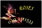 Massage Studio Roses Dames Gevraagd ? Dames Gevraagd