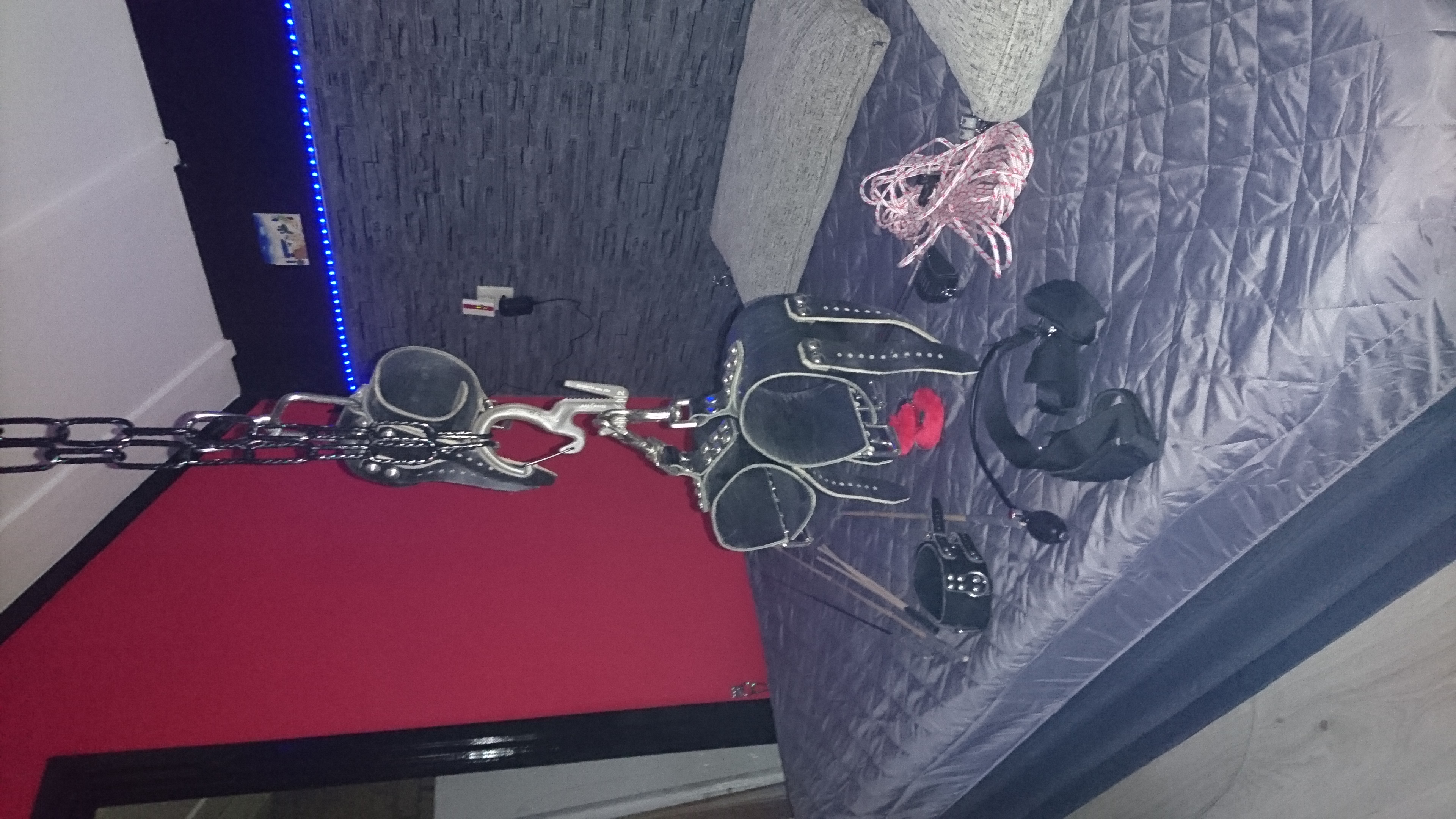 BDSM Mr. Subspace X-pert Sm Escort