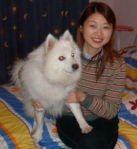Zo Heb Jij Wel Trek In (een) Chinese? ? Vrouw Zoekt Man