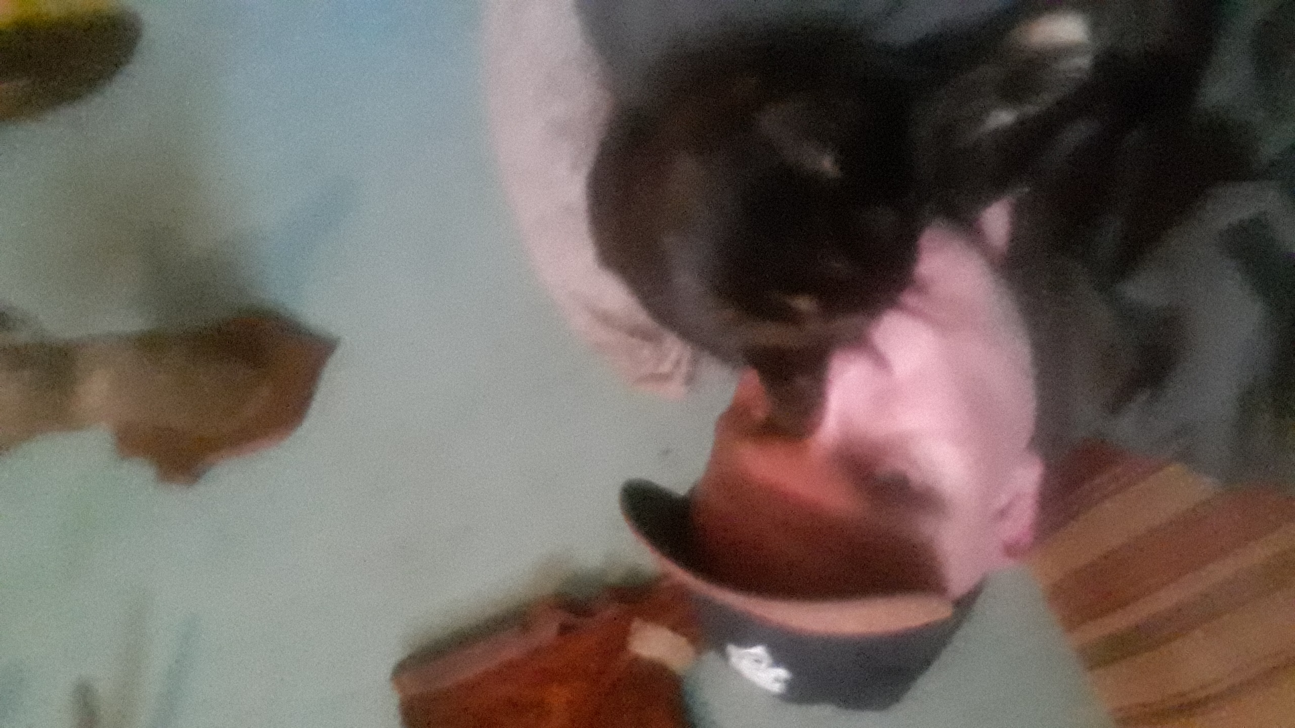 Welke Dominayevrouw Of Shemail Wil Mij Eens Flink