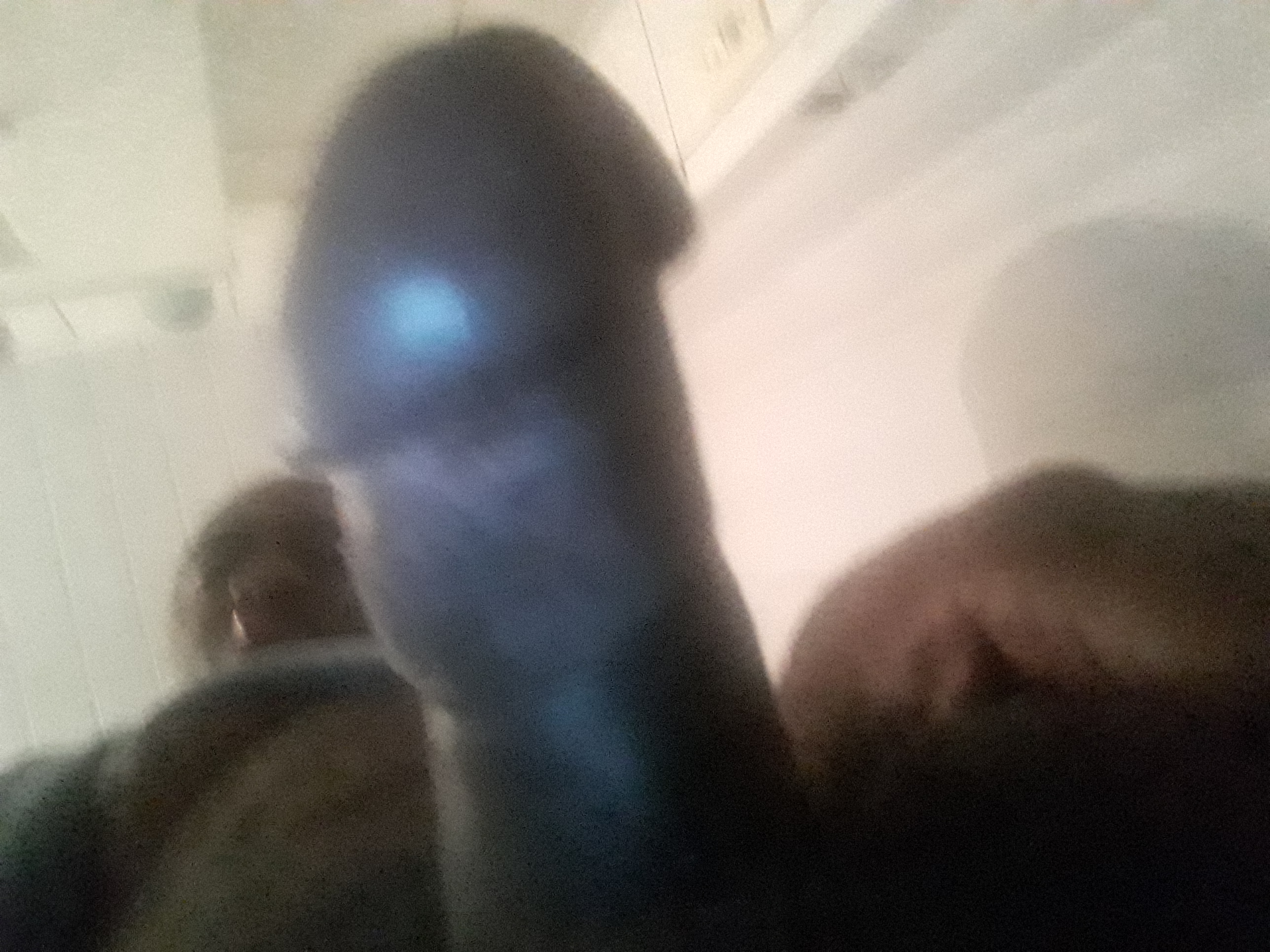 BRAZILIAANS ESCORT ZWARTEN MANEN 100%AKTIVE Man Zoekt Man