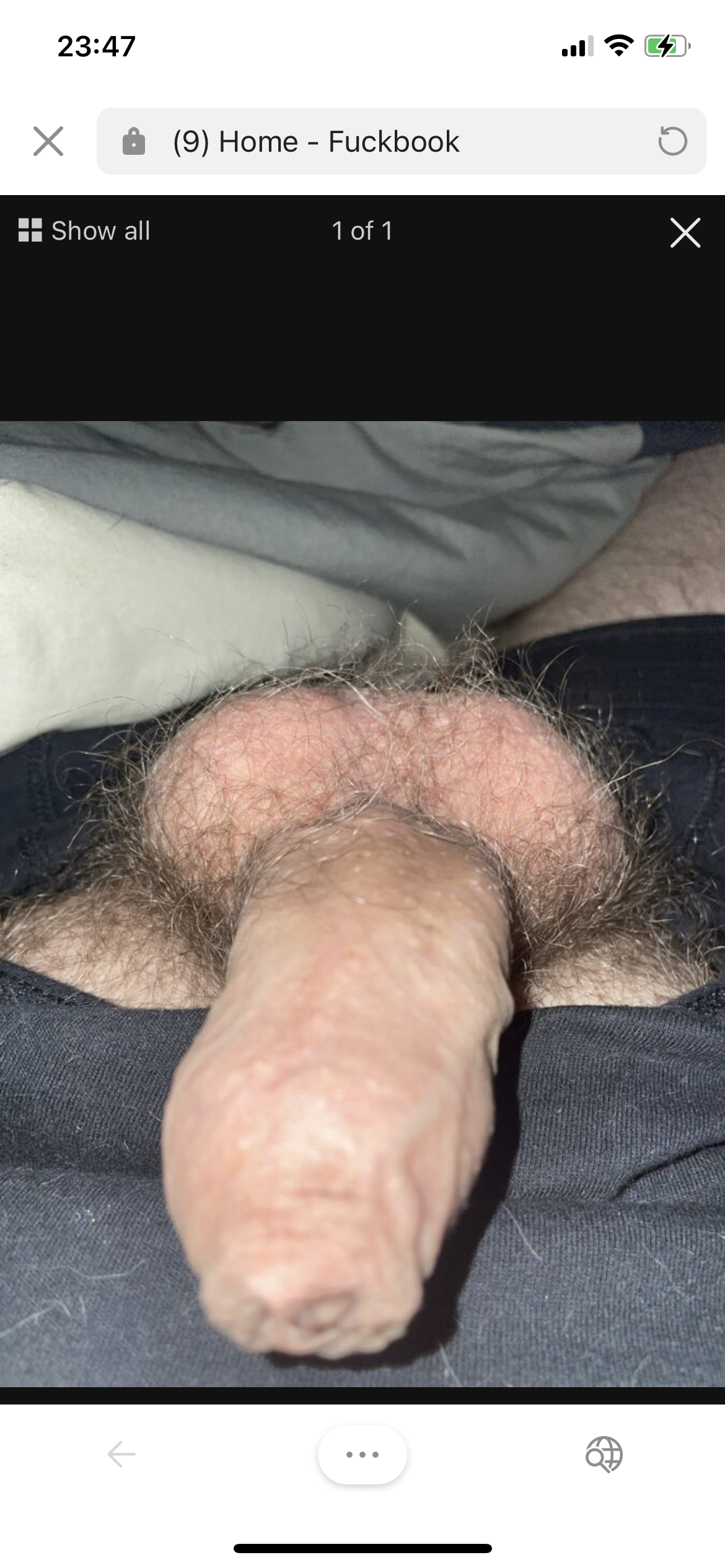 Sex In Bos
