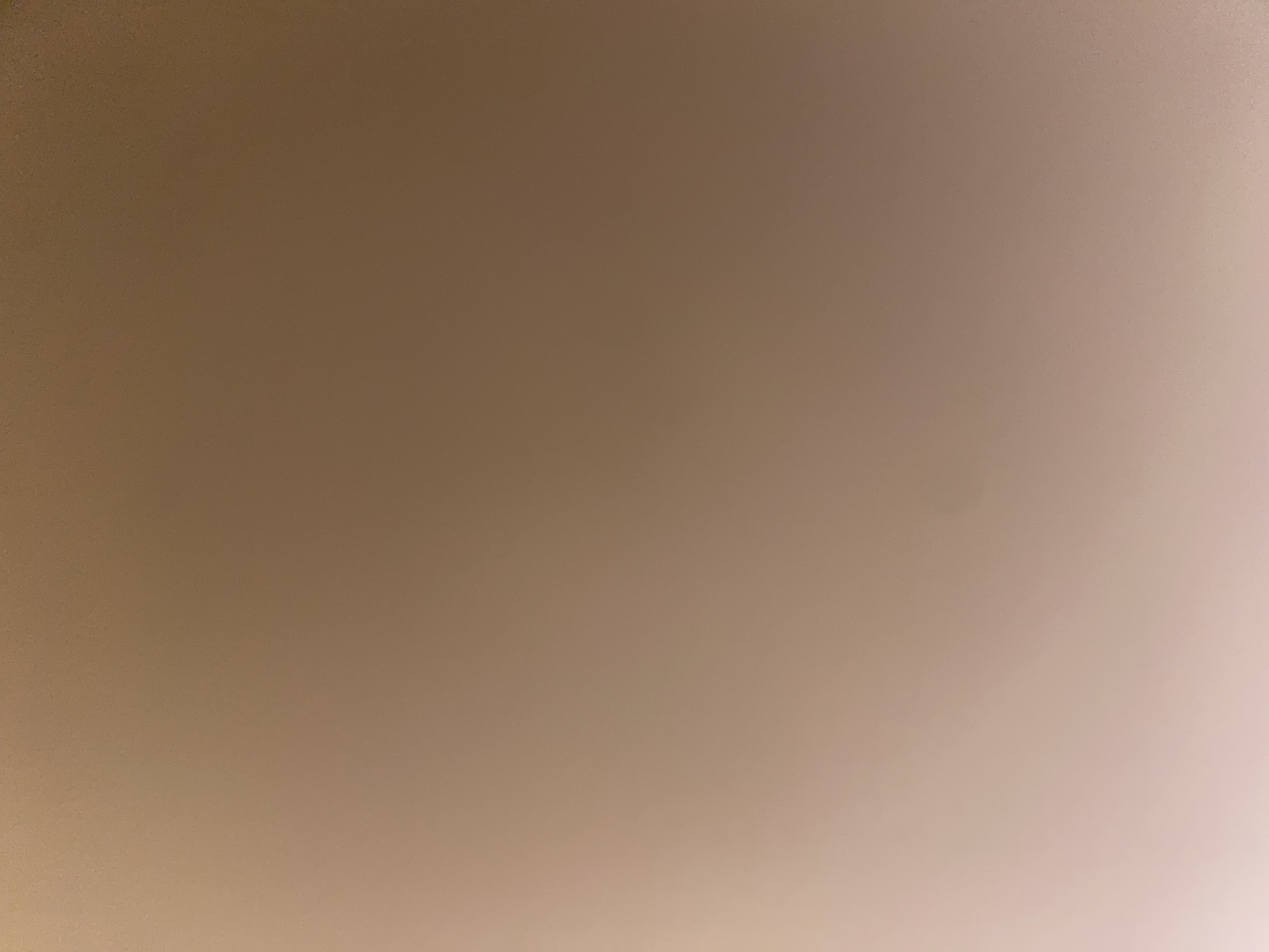 Escort Jong Maar Ervaren. Gigolo