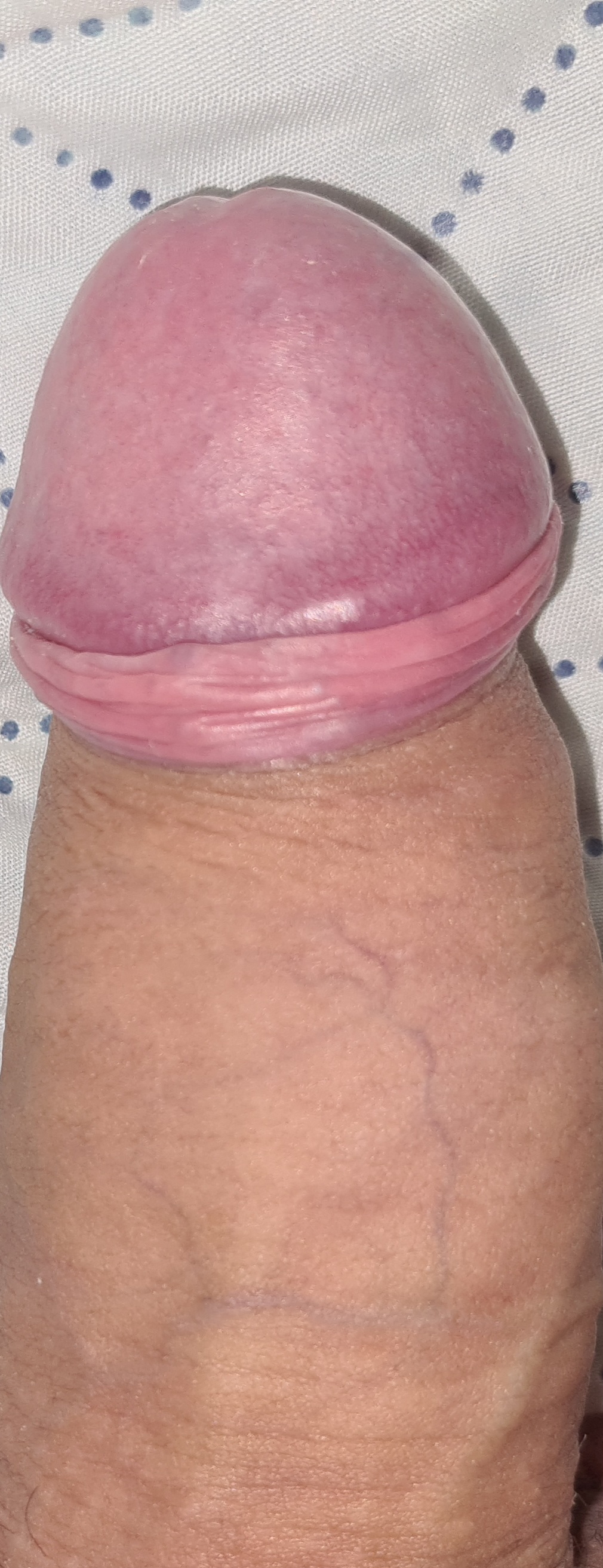 Vollere 22 Jarige Kerel Op Zoek Naar Jong En Milfs Voor Carsex