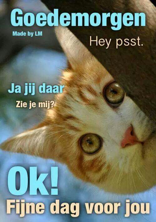 Man Zoekt Vrouw Man Zoekt Vrouw
