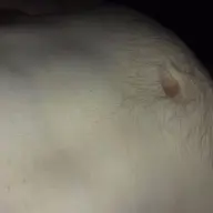 Neuken Neuken