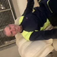 Zoek Vrouw Voor Sex Man Zoekt Vrouw